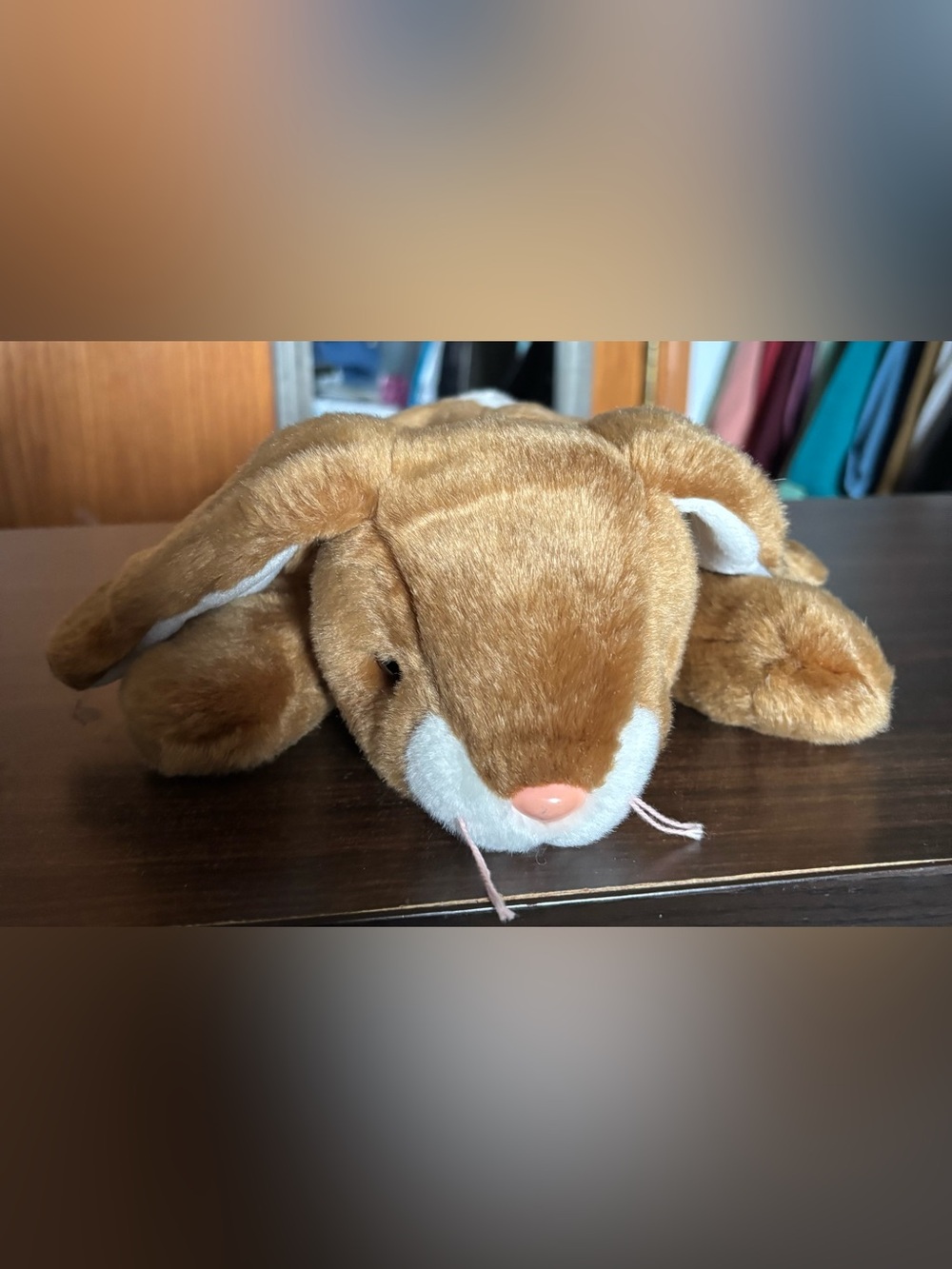 TY Classic “Ears” the rabbit